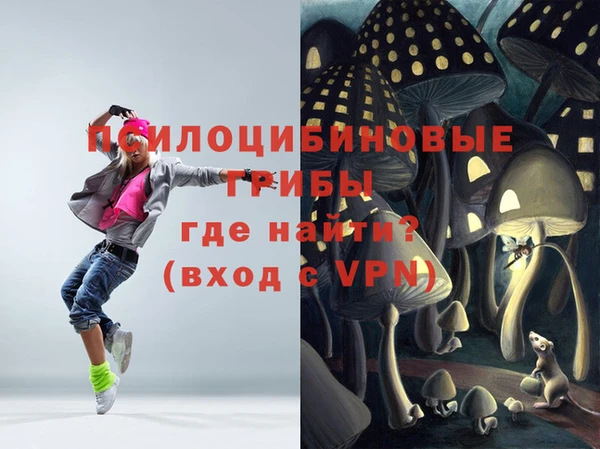 первитин Мегион