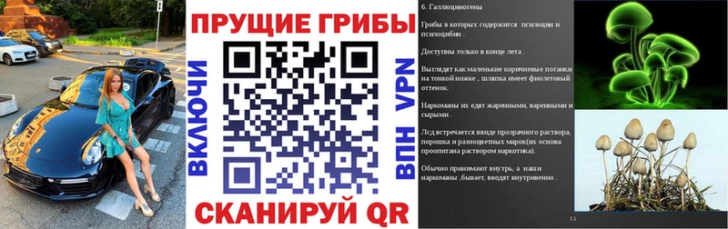 Псилоцибиновые грибы Psilocybine cubensis  где можно купить наркотик  Сусуман 